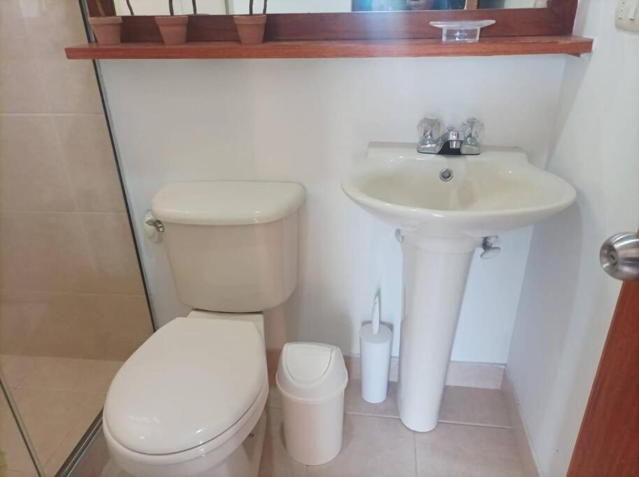 El Poblado, Con Piscina, Gym, Comodo, Linda Vista. Medellín